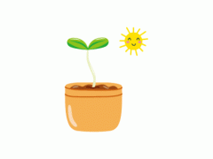 多肉植物開(kāi)花不好？這是為什么，開(kāi)的話(huà)如何養(yǎng)護(hù)